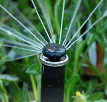 MP Rotator sprinkler 